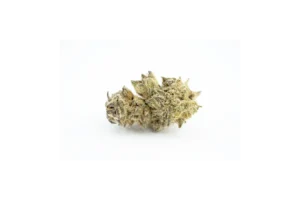 Produkte - Alpinolin 22/1