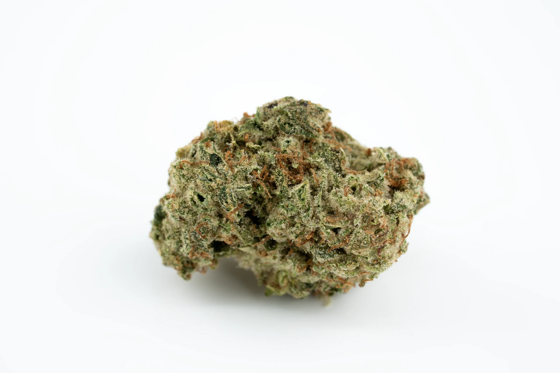 adrex-24-1-gg 2-cannabisblueten-greensby