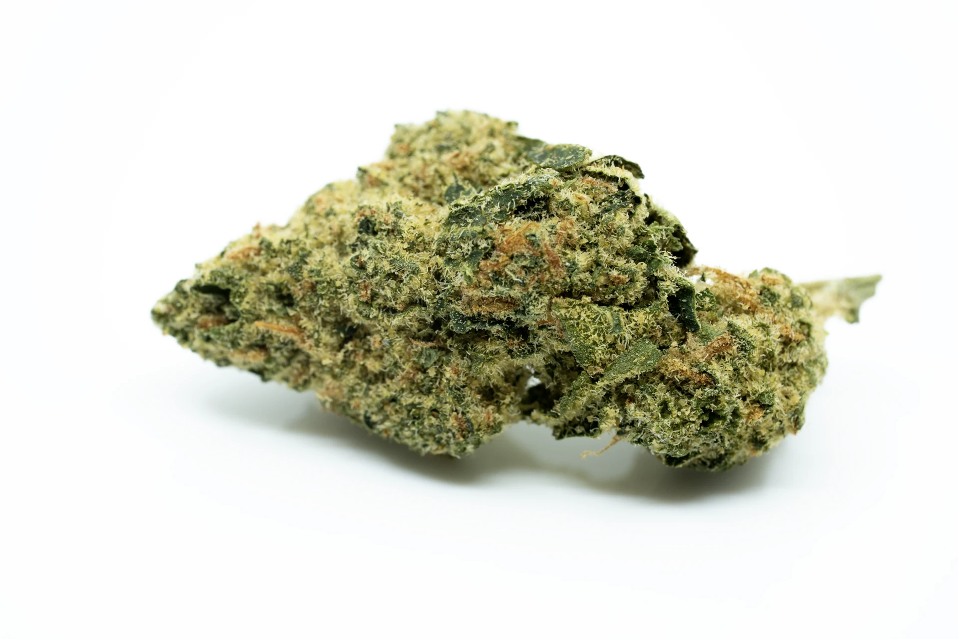 amici-31-1-as-cannabisblueten-greensby