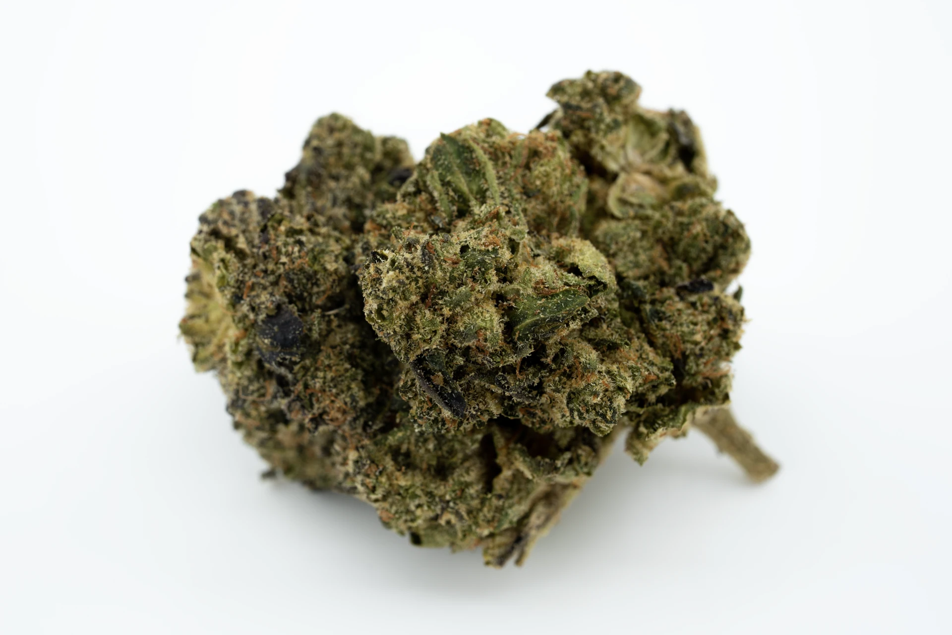 aurora-24-1-pnk-ca-cannabisblueten-greensby