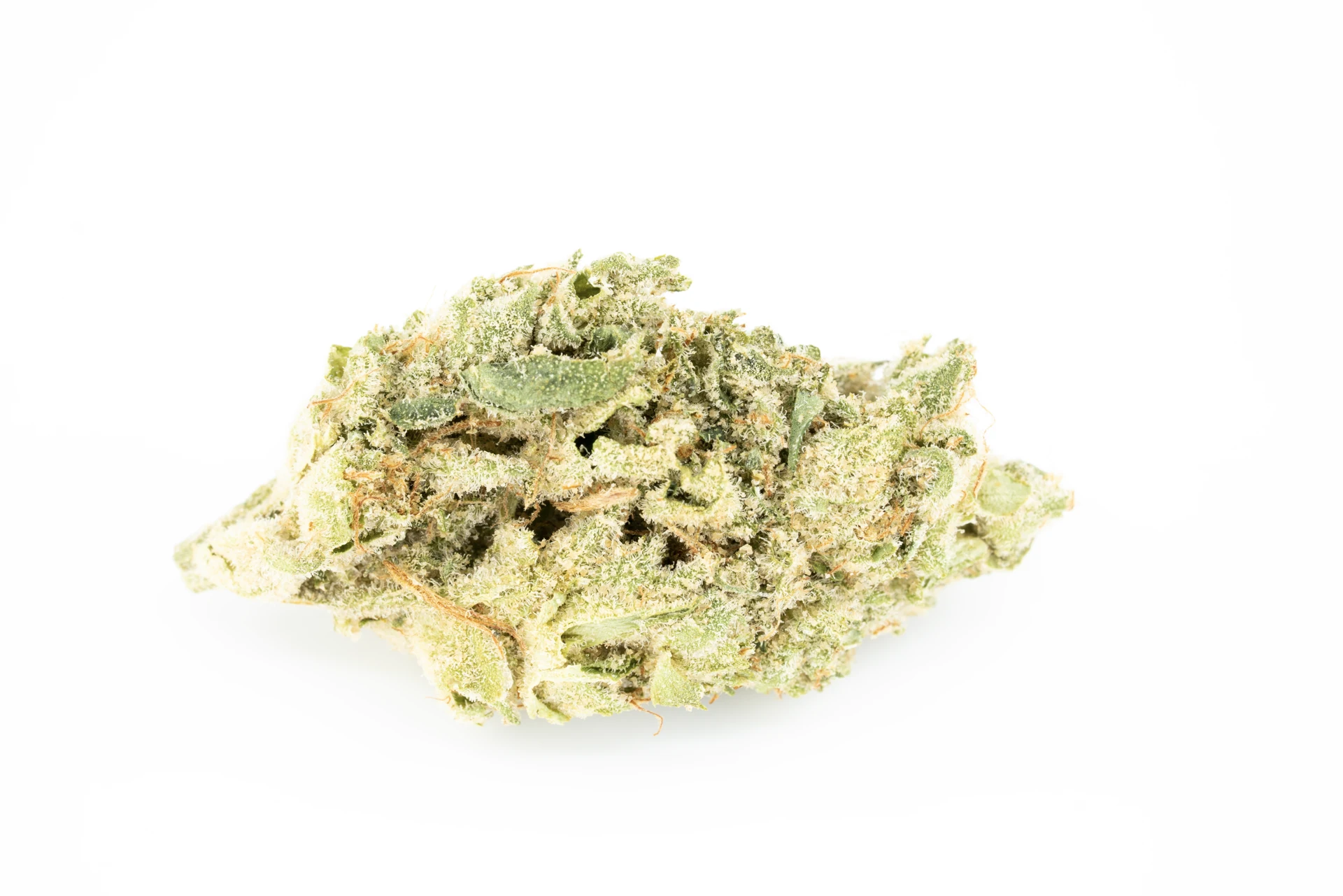 avaay-28-1-ahc-cannabisblueten-greensby