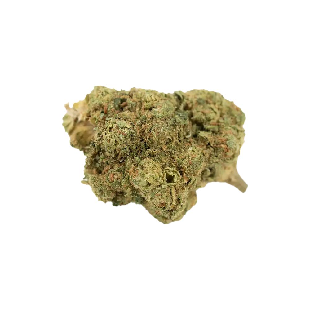 Produkte - Avaay 22/1 LSB