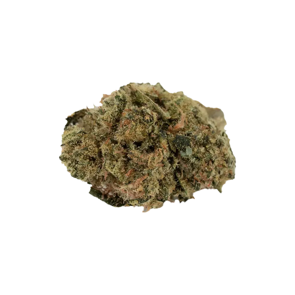 Produkte - enua 22/1 CCK CA