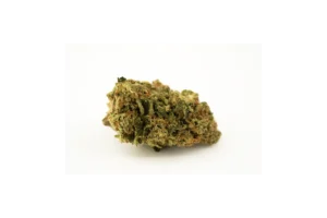Produkte - madrecan 21/1 SHA 