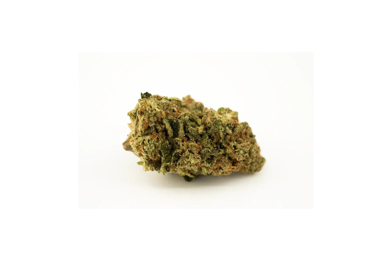 Produkte - madrecan 21/1 SHA 