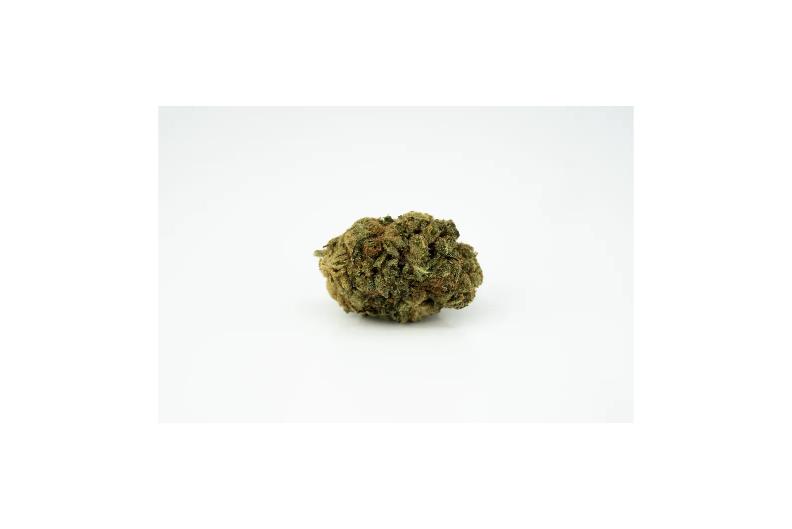 Produkte - 27/1 Amici SB