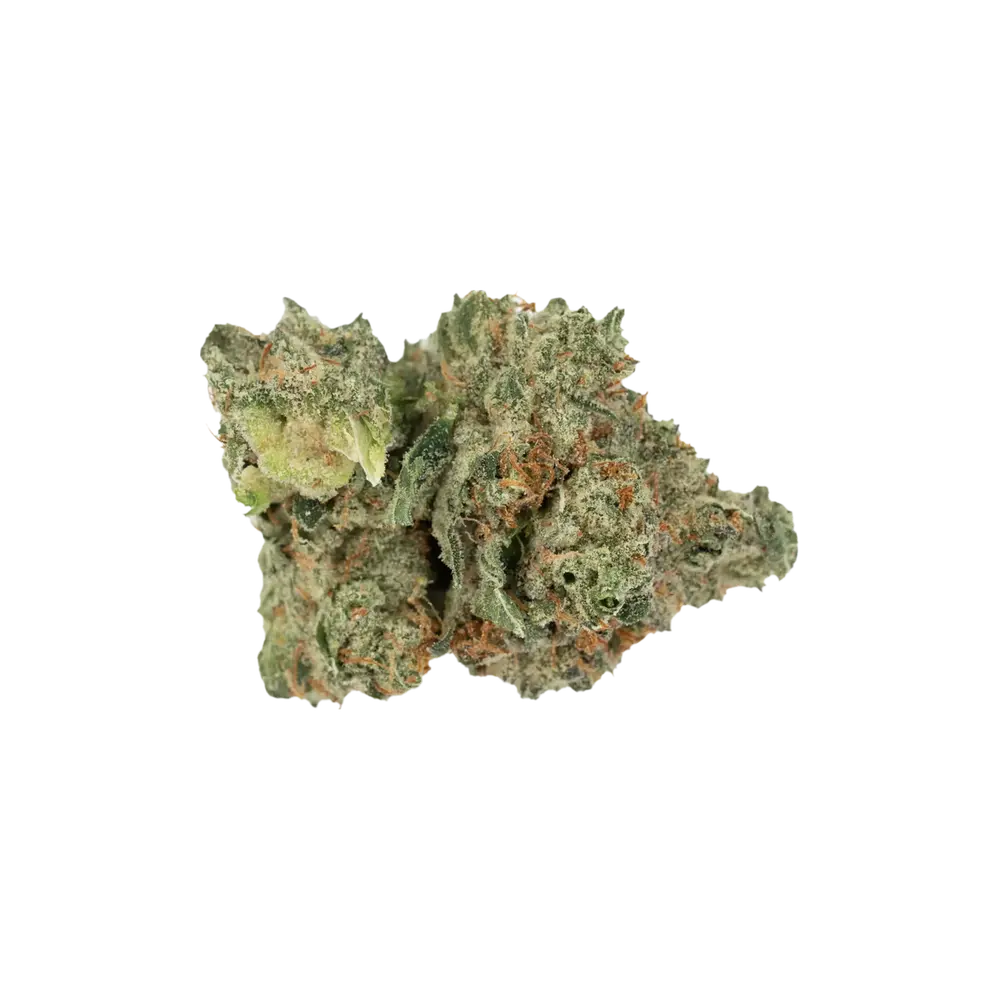 Produkte - Daily Special 21/1 LEM