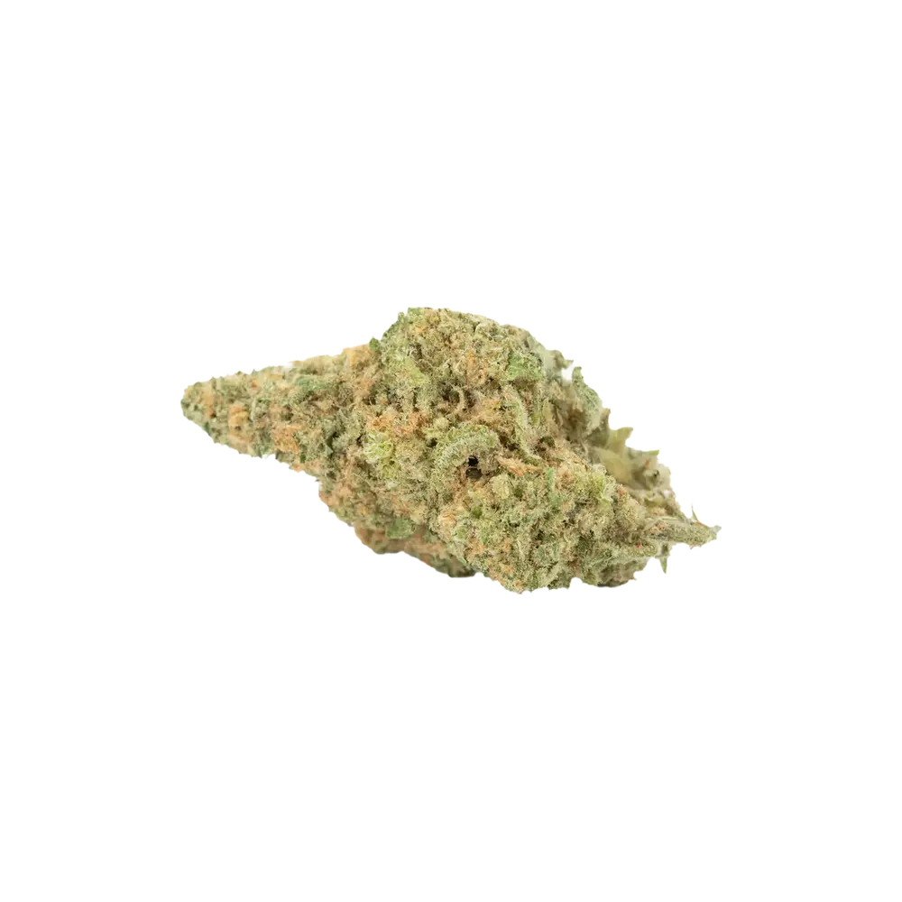 Produkte - Cannamedical Hybrid light NM
