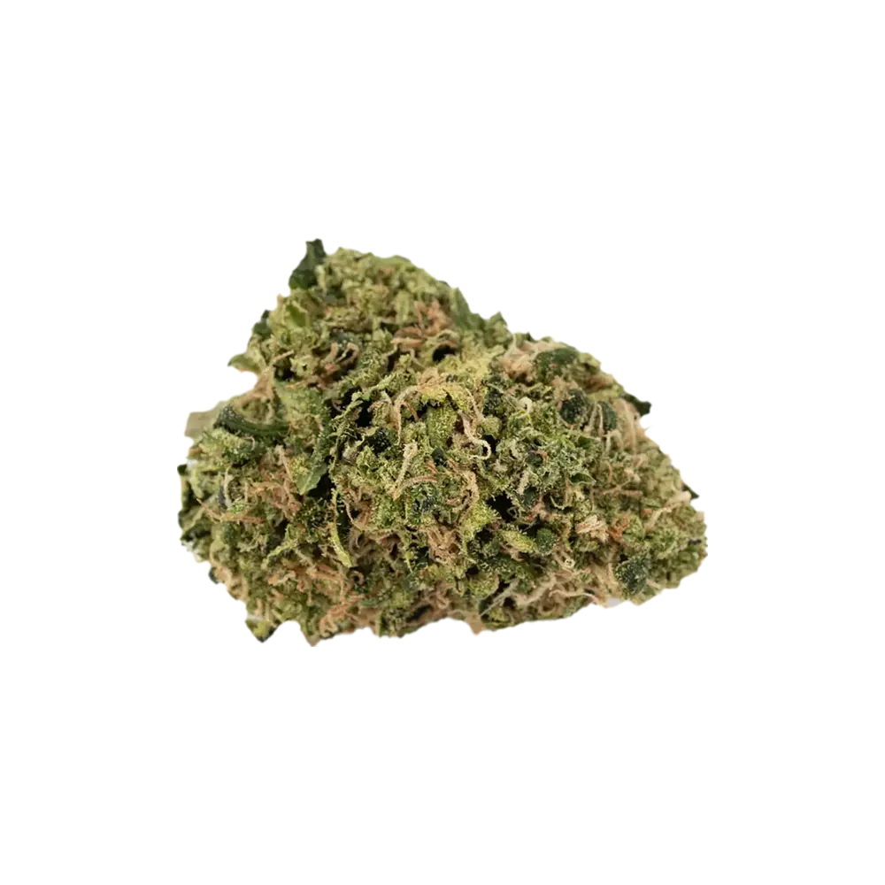 Produkte - Cannamedical Sativa classic NM