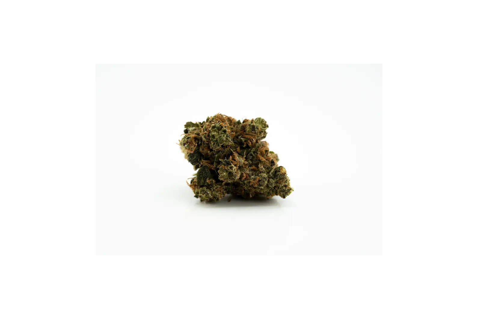 Produkte - Canopy AKH 22