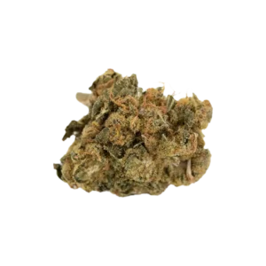 Produkte - aleph amber 24/1