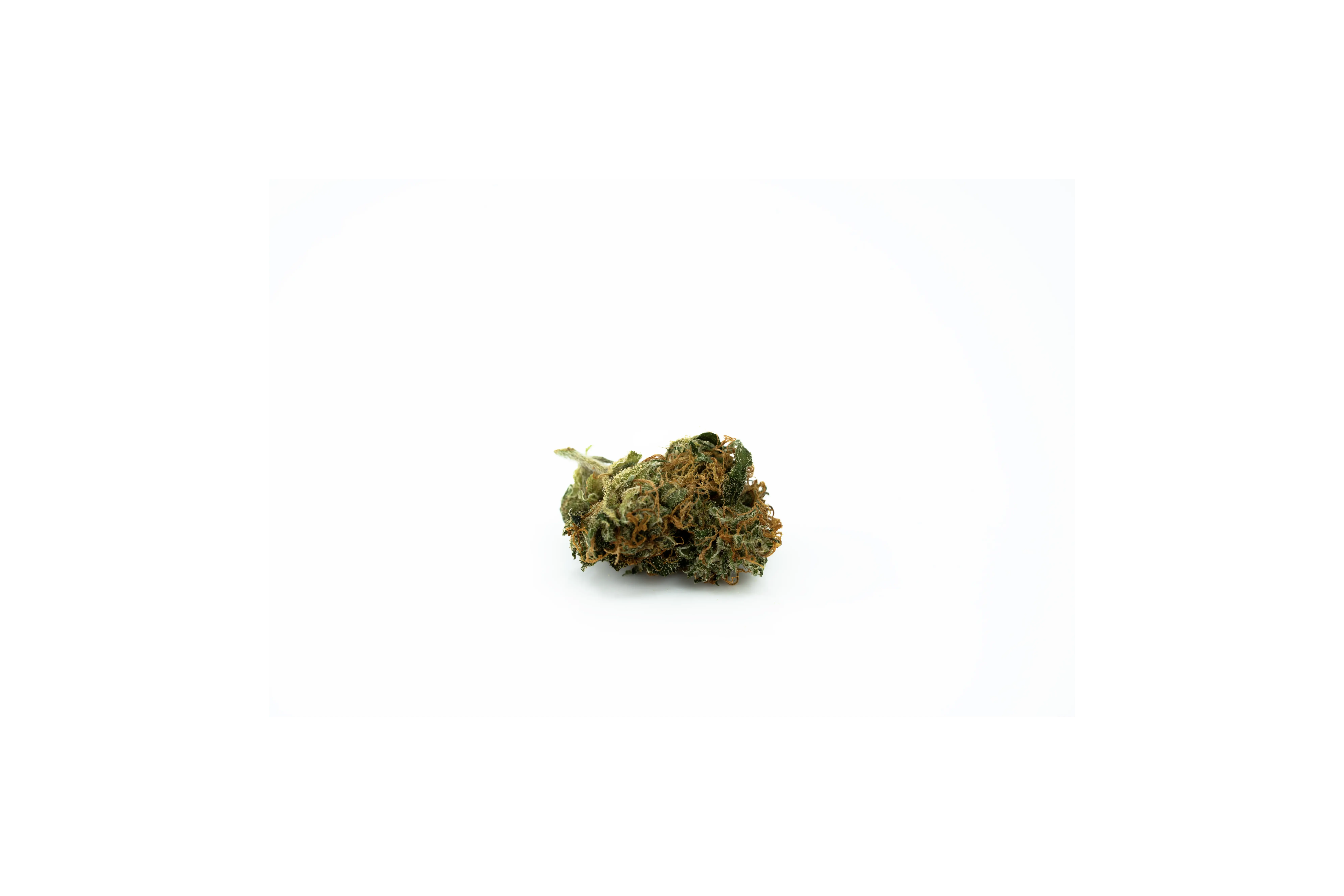 Produkte - Typ 3 Aphria