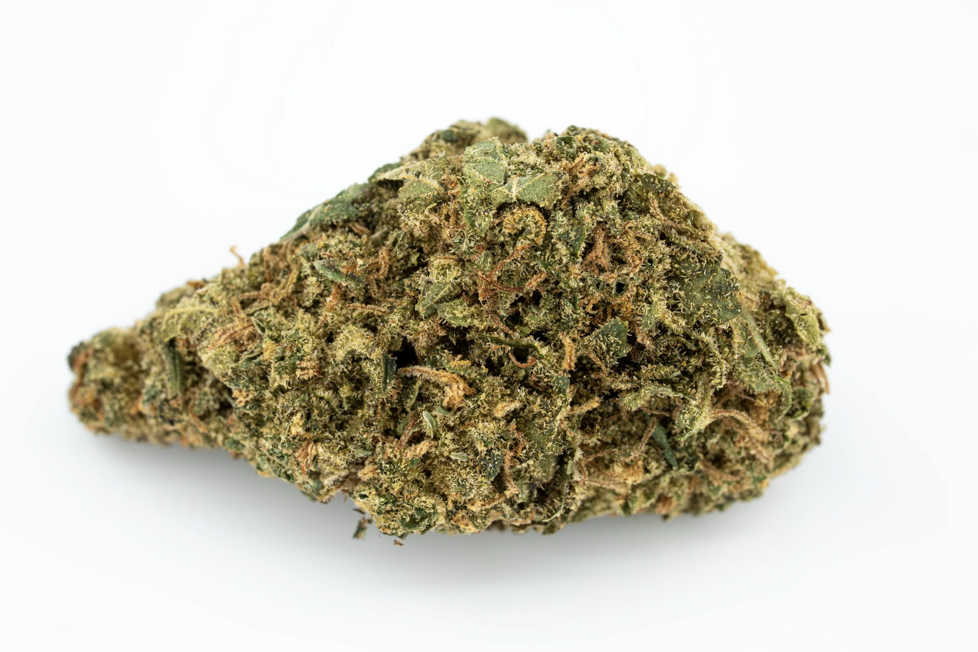 blackbird-sativa-eu-cannabisblueten-greensby