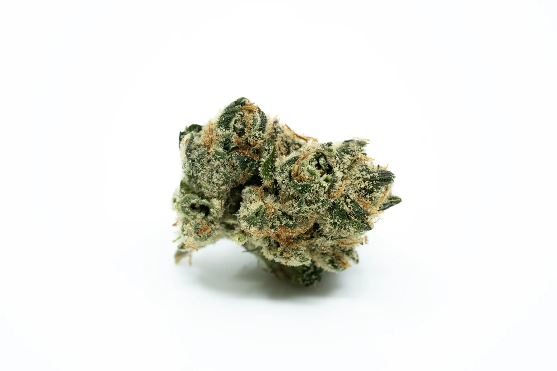 botanics-20-1-acp-cannabisblueten-greensby