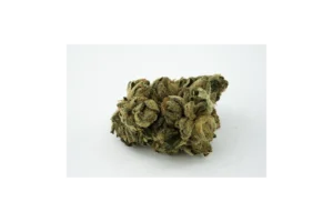 Produkte - Tilray THC25 Spotlight Porto
