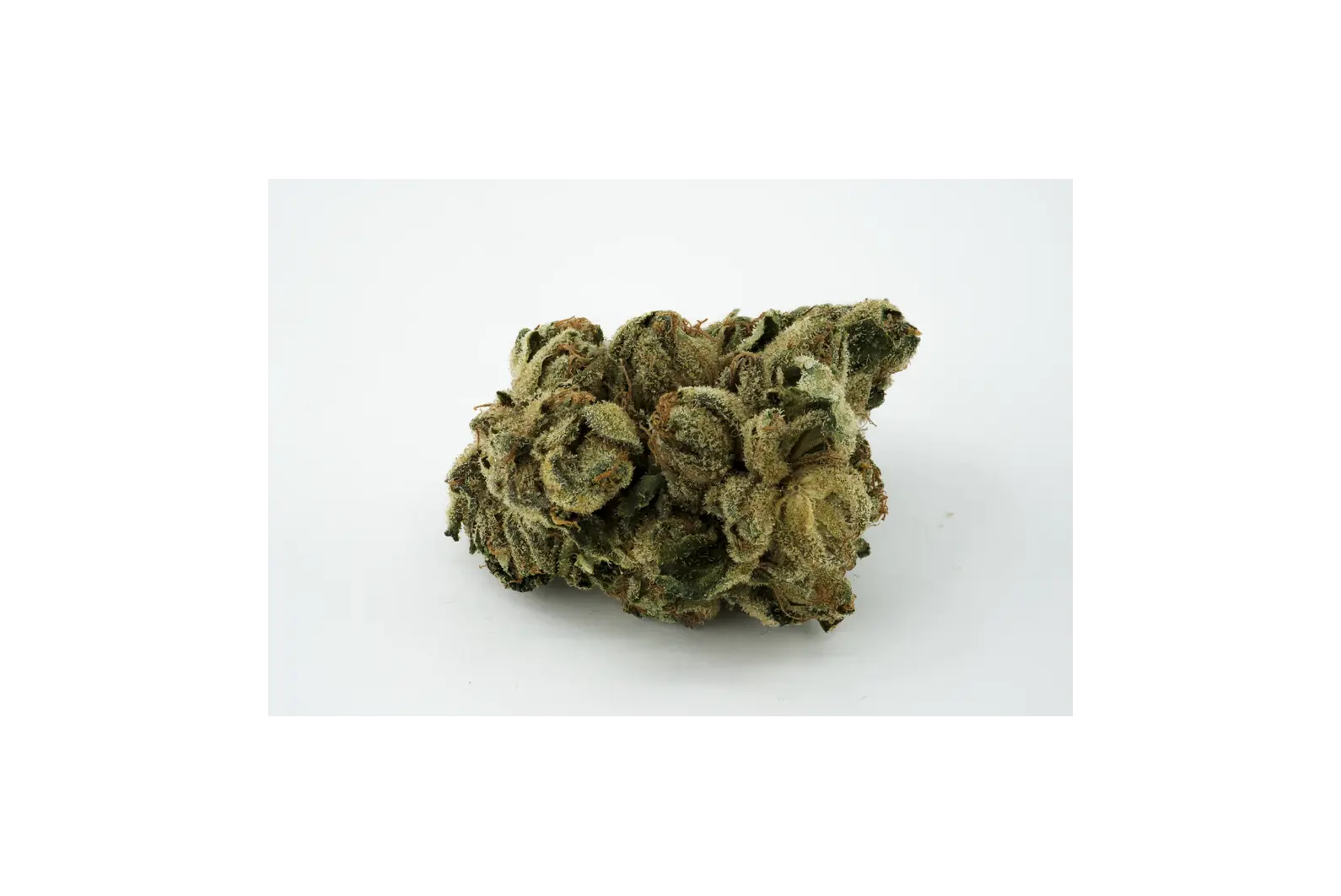 Produkte - Tilray THC25 Spotlight Porto