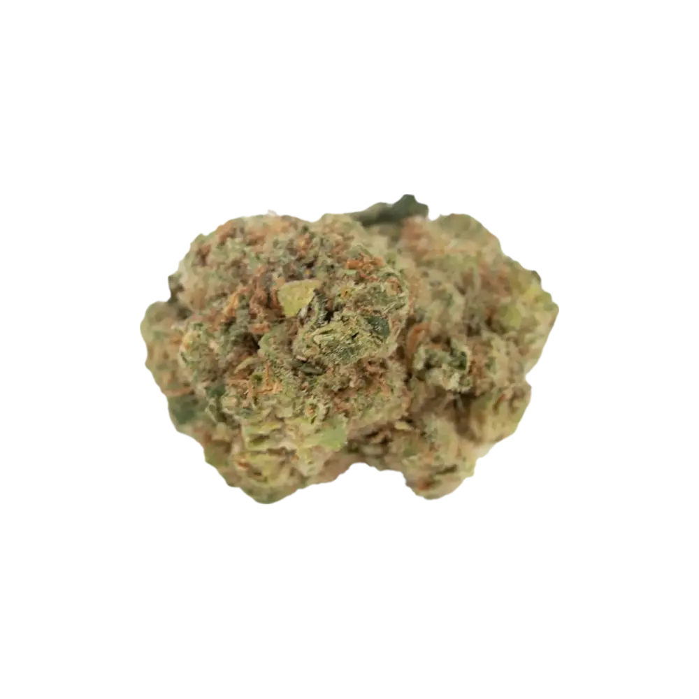 Produkte - Canopy OGD 25 