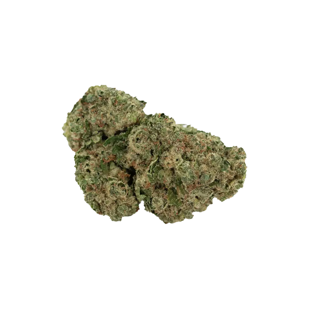 Produkte - enua 22/1 JFG CA