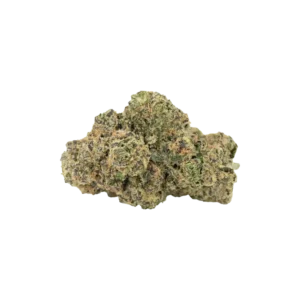 Produkte - Cannamedical Sativa forte NM