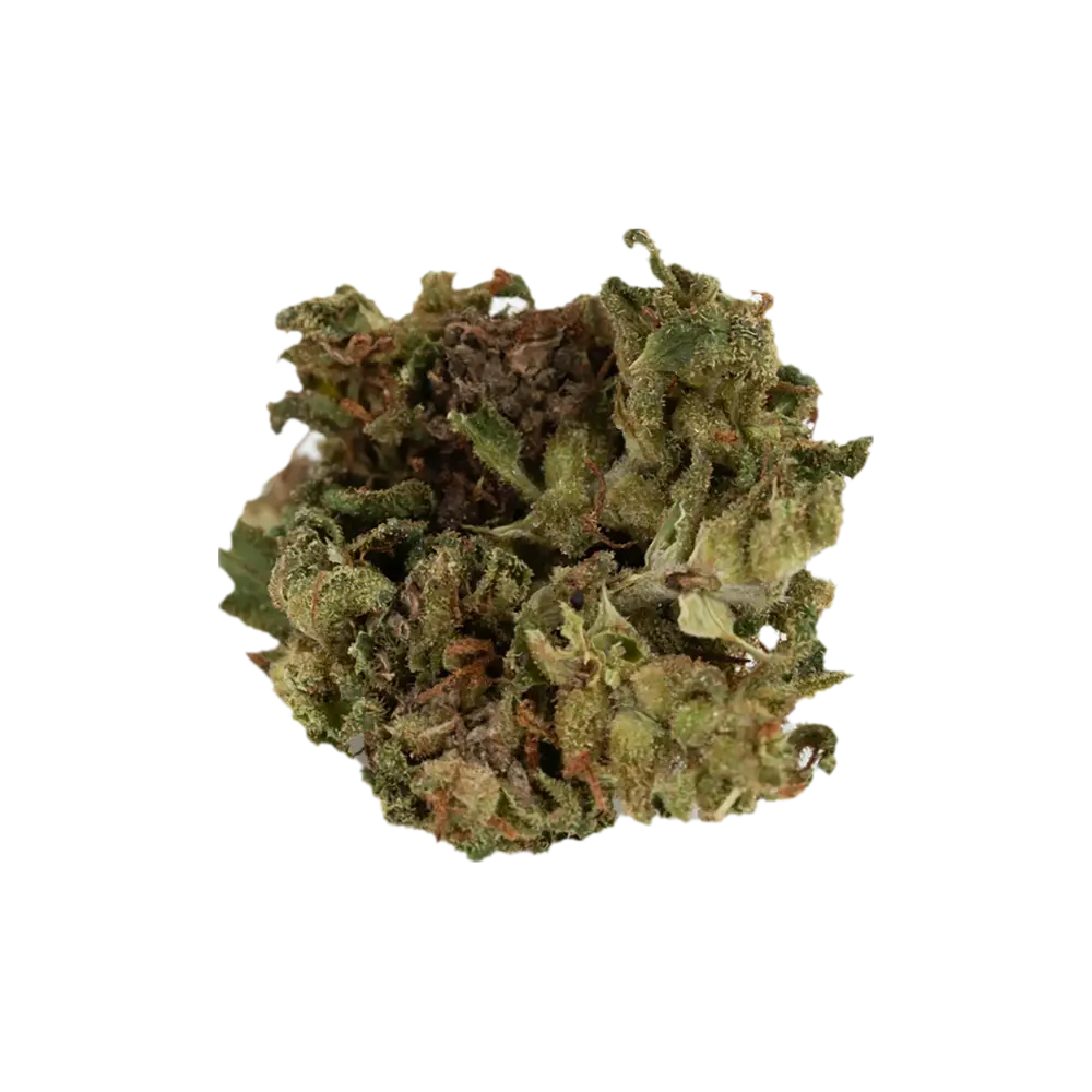 Produkte - IMC OOG THC25