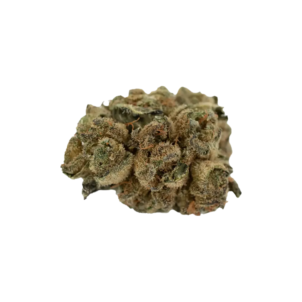 Produkte - Tilray THC15 Spotlight Porto