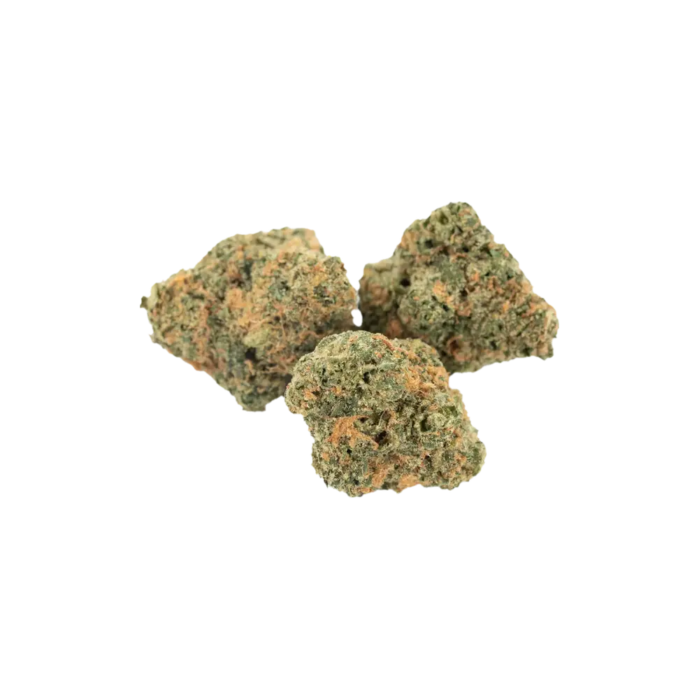 Produkte - enua 21/1 SG CA
