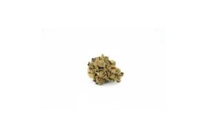 Produkte - Cannabis Flos 22/1 PT Ku.Mango DAB Canify