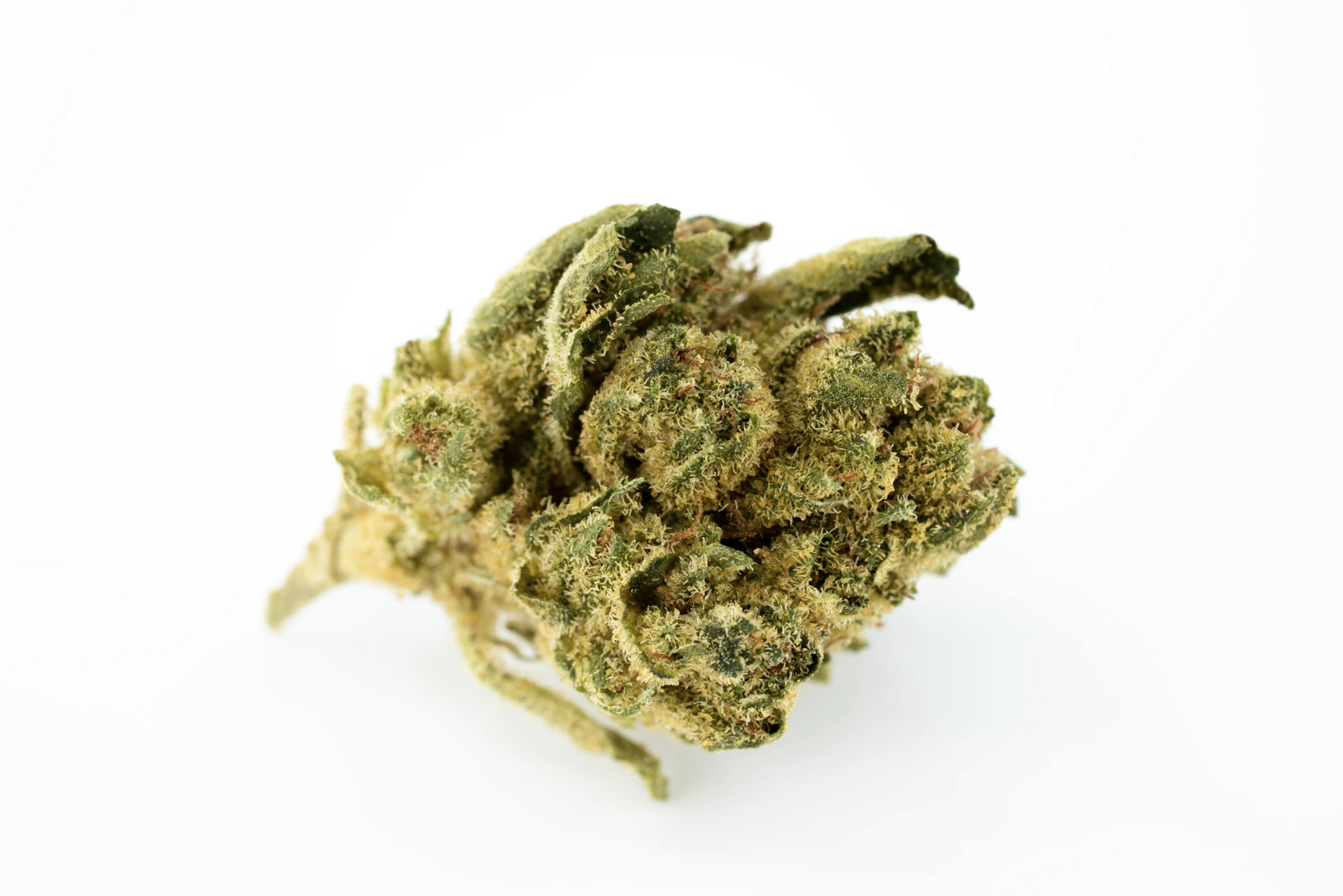 canify-18-1-gg-cannabisblueten-greensby