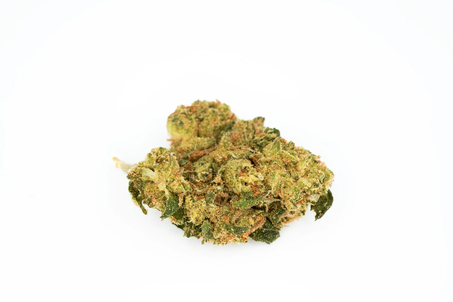 canify-22-1-pdb-cannabisblueten-cannabis-apotheke
