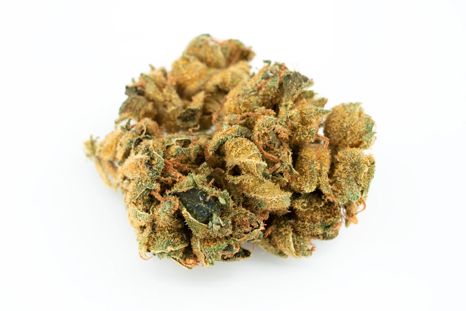canify-23-1-sb-cannabisblueten-cannabis-apotheke