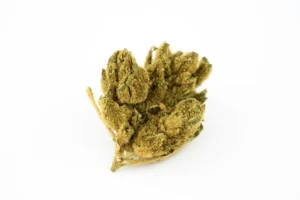 Produkte - Cannabis Flos 20/1 UY Ku. Gorilla Glue