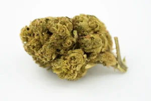 Produkte - Cannabis Flos 20/1 UY Ku. Purple Dog Bud
