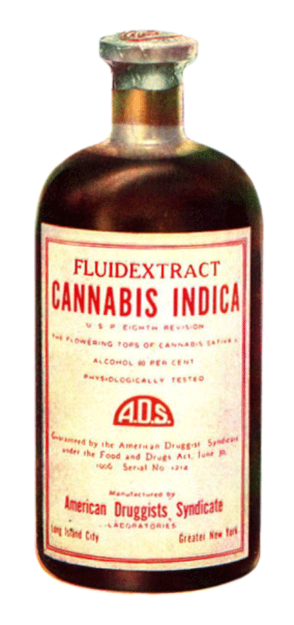 Auf dem Bild sieht man eine braune Flasche mit dem Inschrift "Fluidextract, Cannabis Indica".