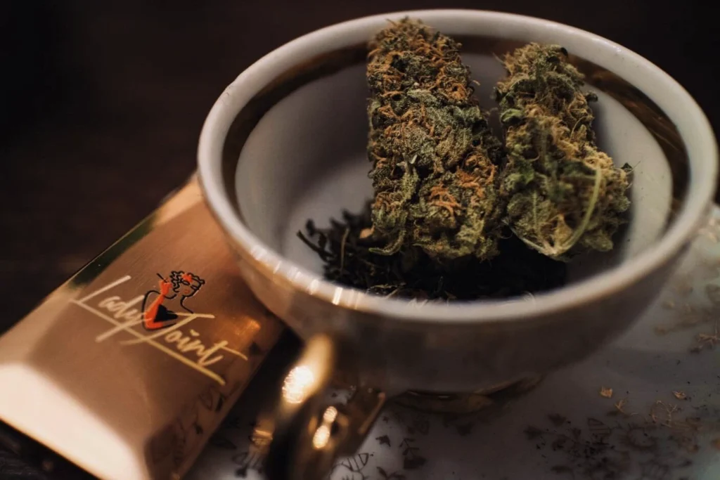 Zwei Cannabisblüten und zerkleinertes Pflanzenmaterial in einer Tasse für eine Cannabistee-Zubereitung