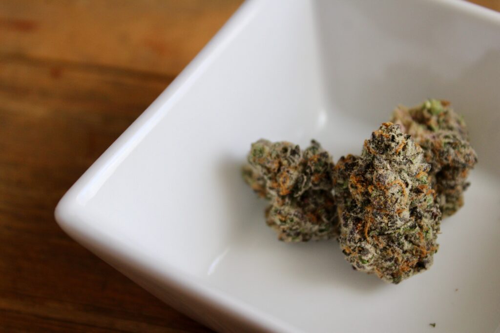 Getrocknete Cannabisblüten in einer Porzellanschüssel. Die Verschreibung von Medizinalcannabis wurde durch eine Begleiterhebung untersucht