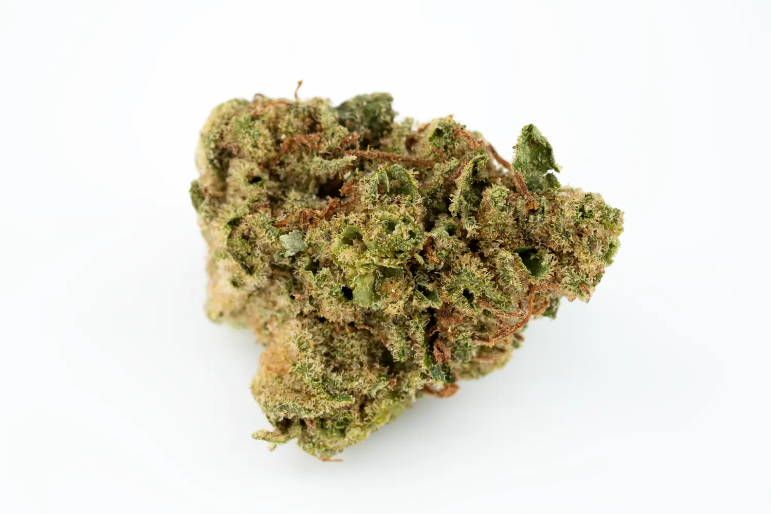 cannamedical 28 1 crm