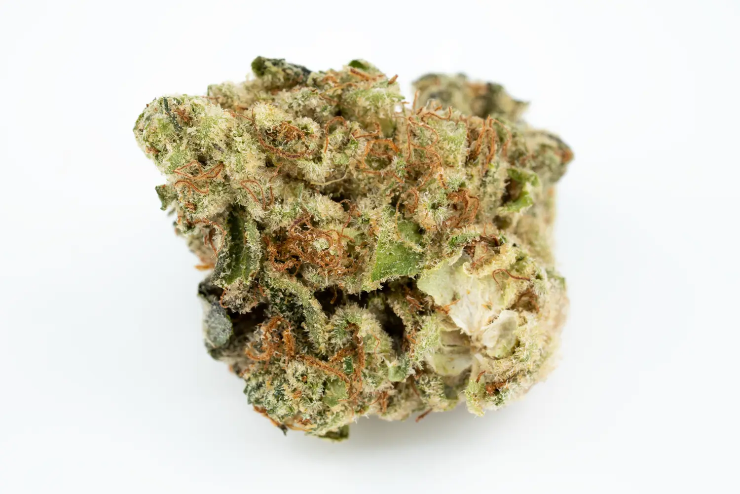 cannamedical 30 1 dm