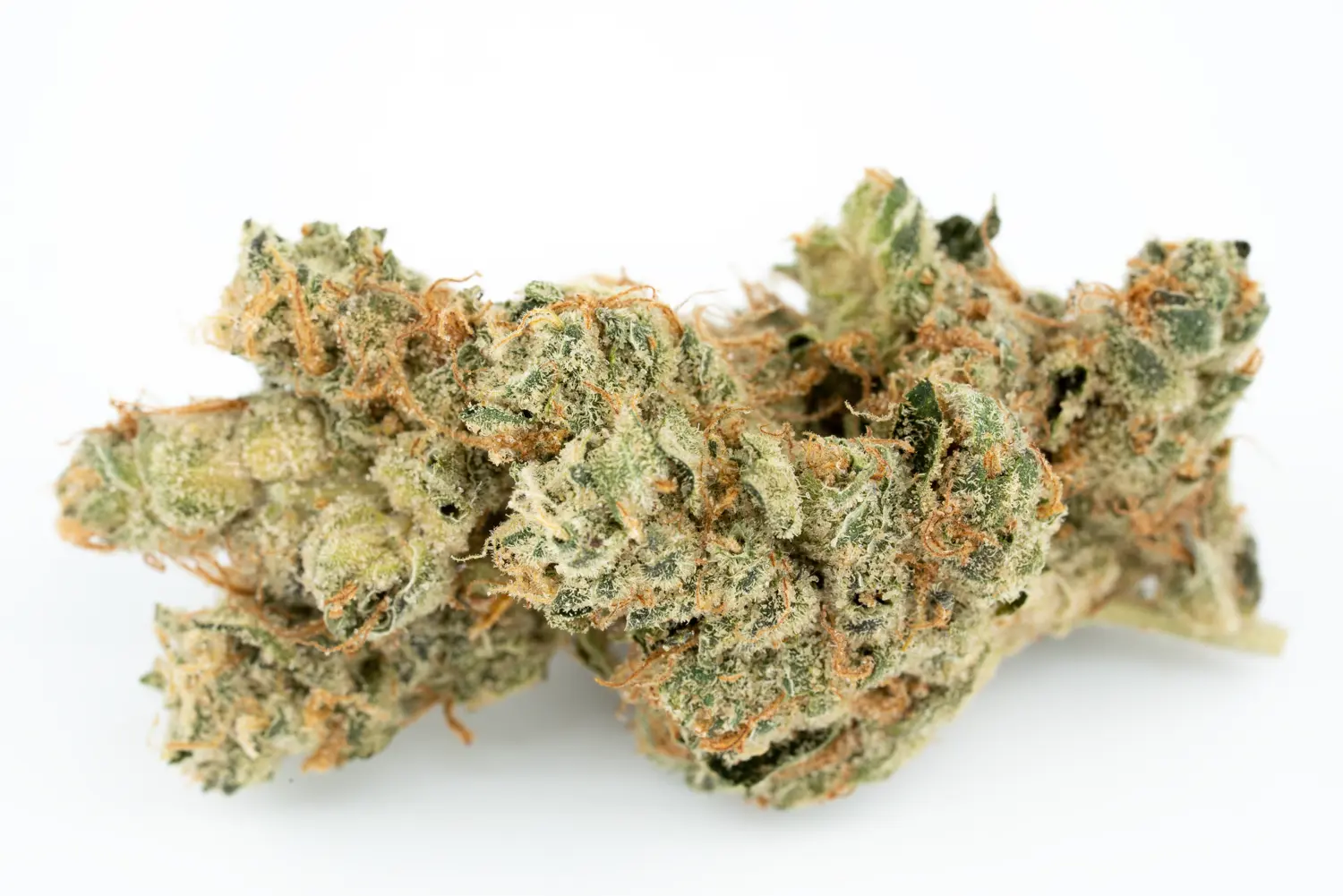 cannamedical 30 1 koko