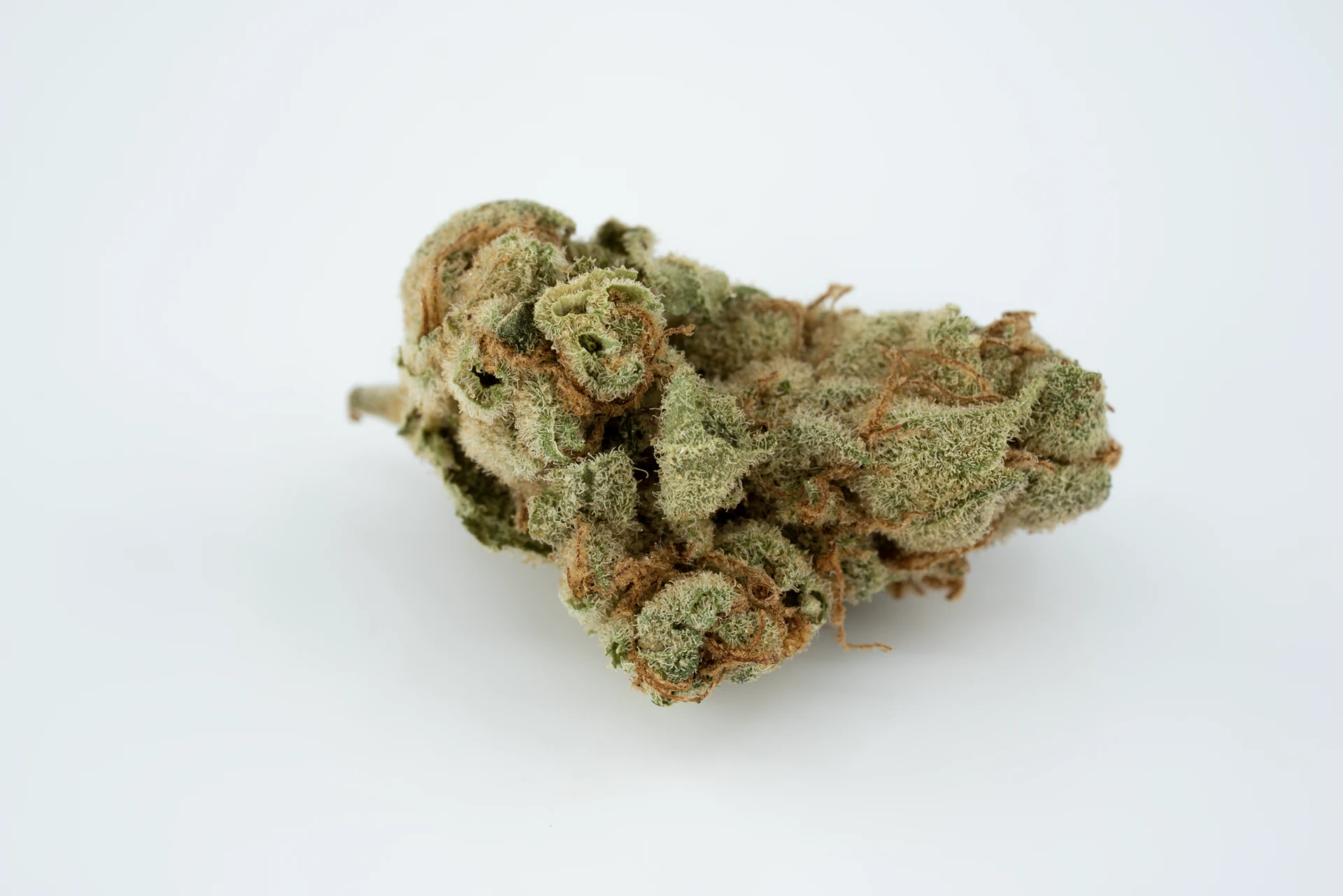 cannamedical-forte-zaf-bcp-cannabisblueten-greensby
