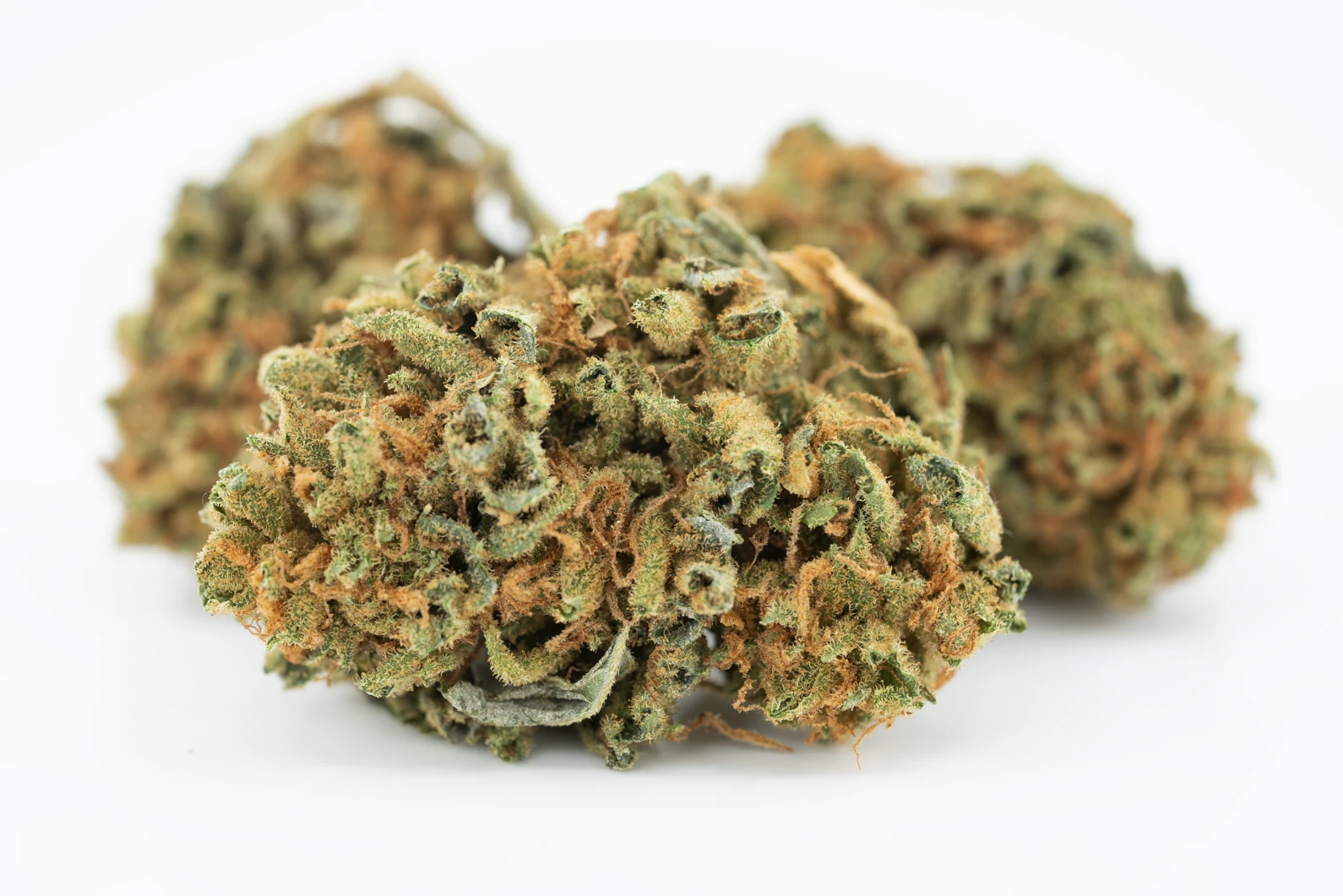 cannamedical-hybrid-classic-lost-cause-masse