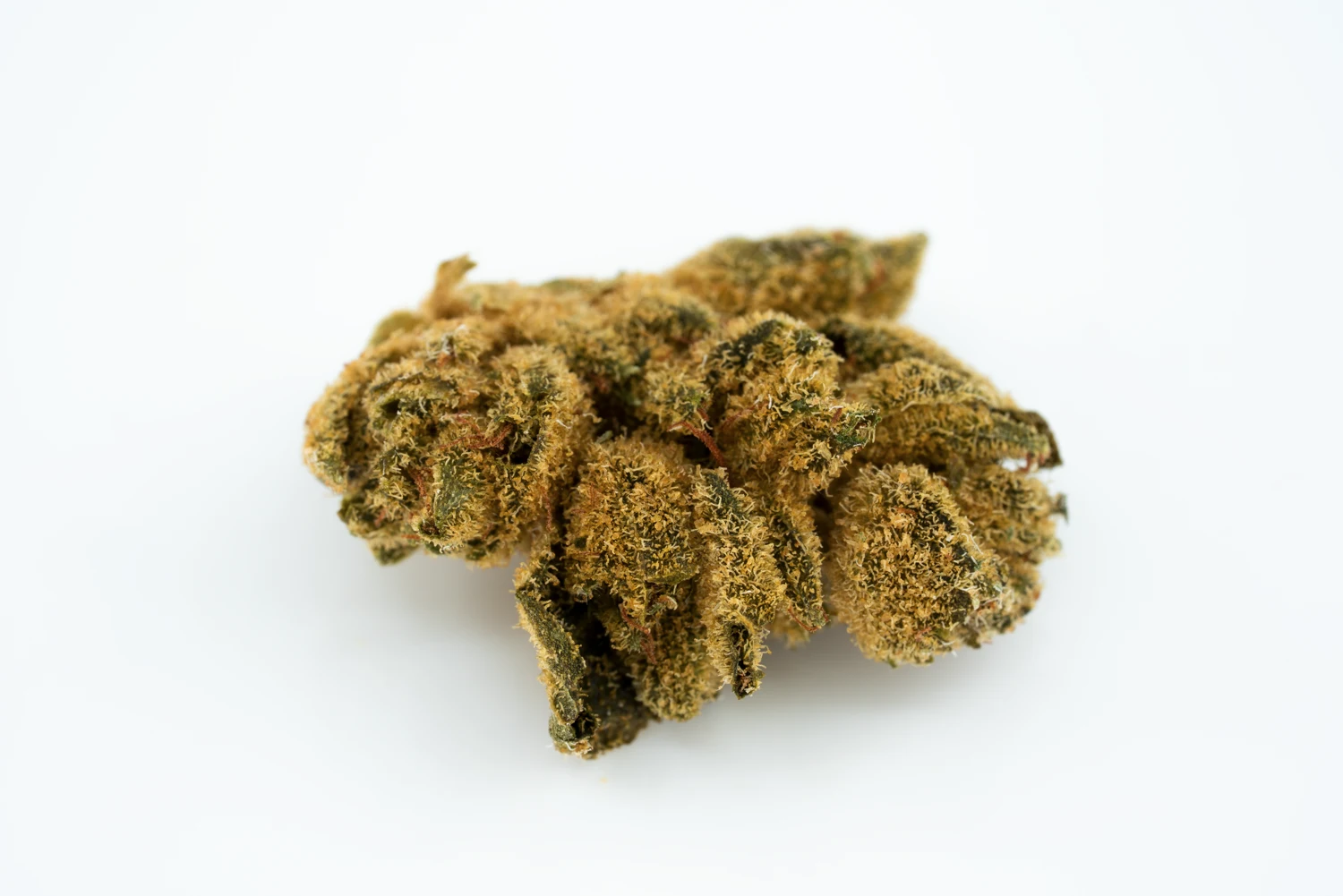 cannamedical-hybrid-light-ury-wg-cannabisblueten-cannabis-apotheke