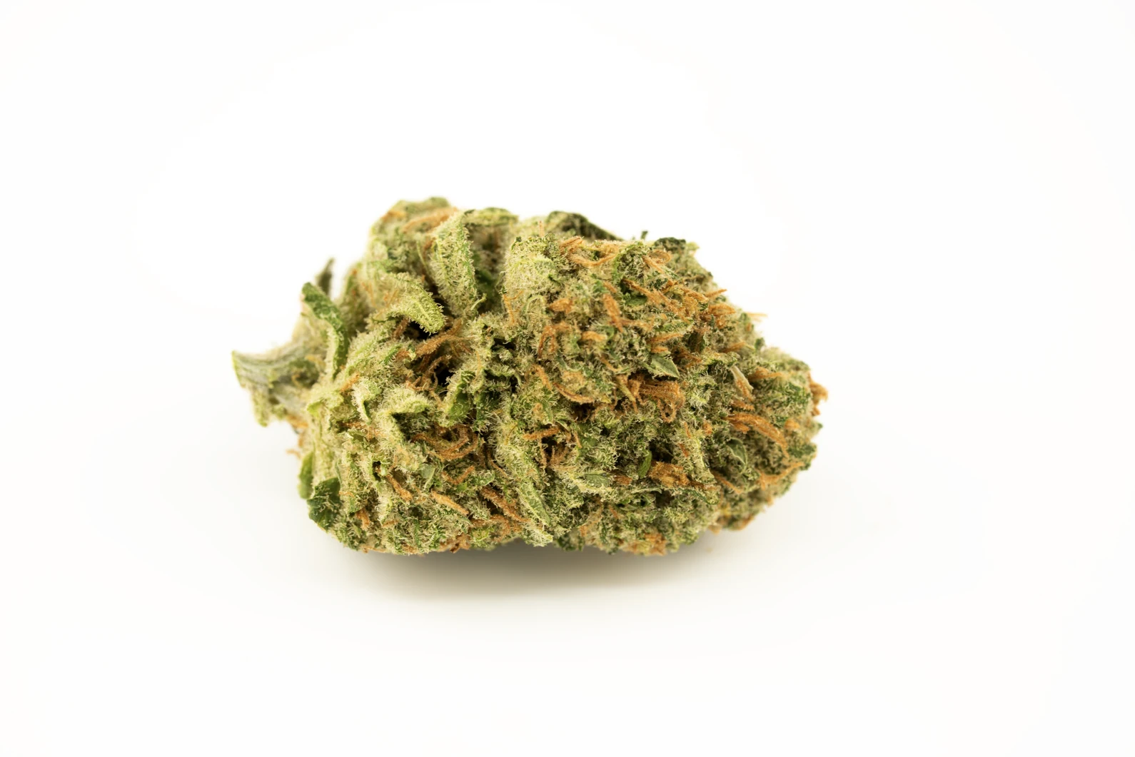 cannamedical-sativa-classic-nm-amsterdam-amnesia-cannabis-apotheke