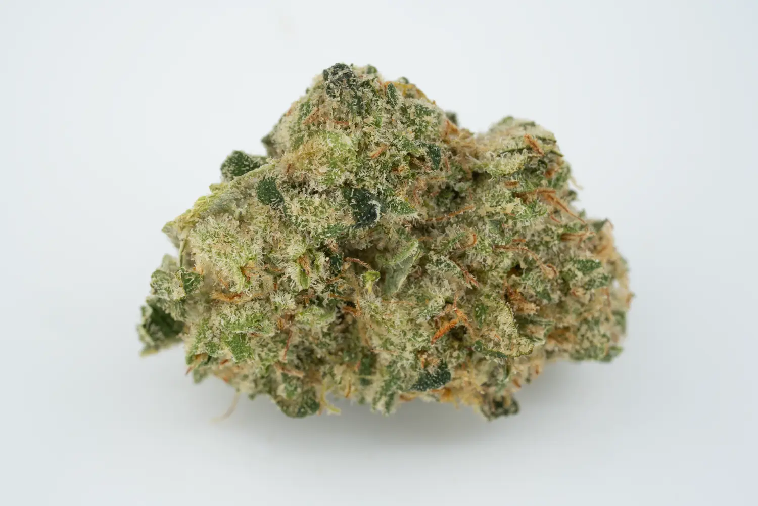 cannamedical sativa classic nm cl