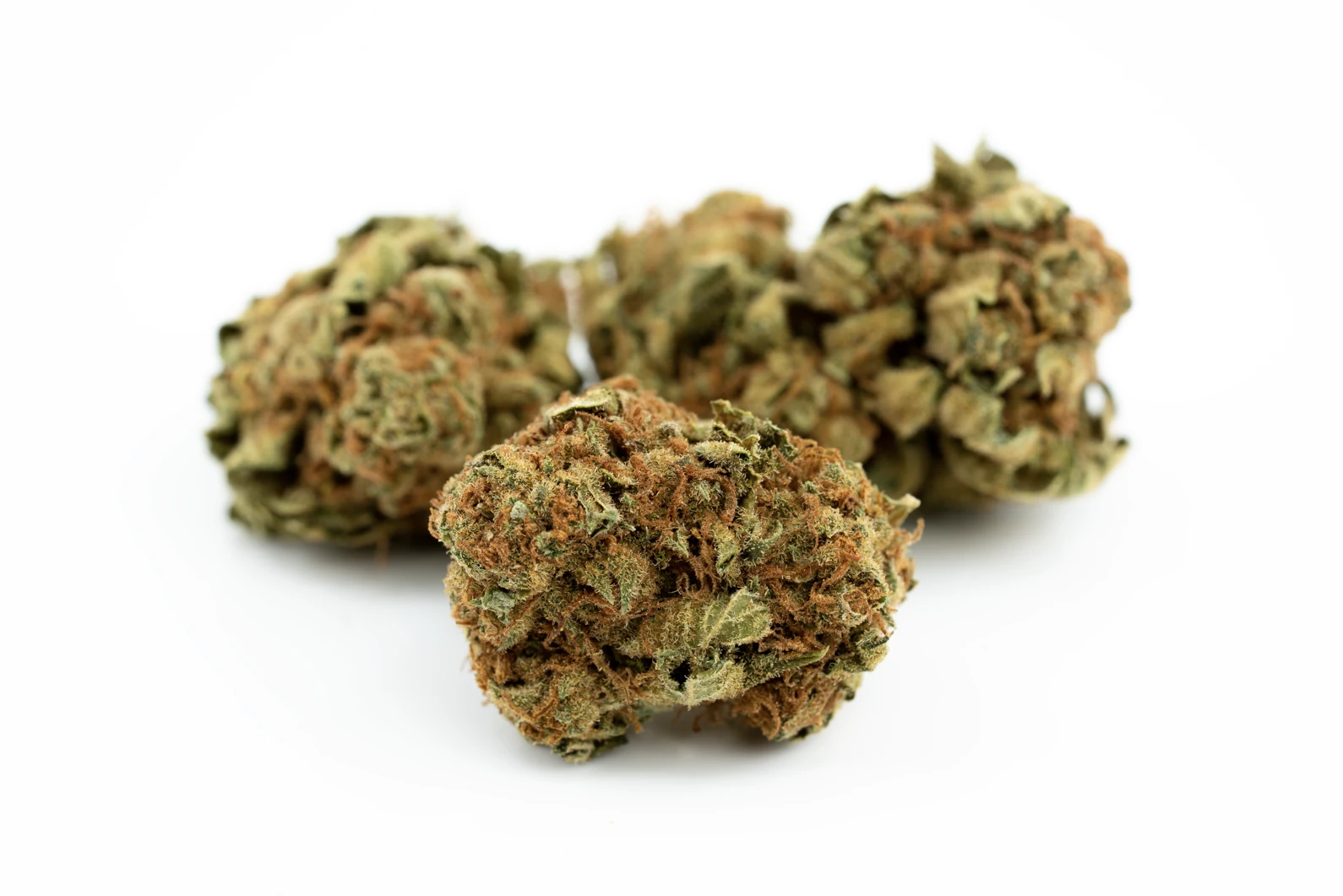 cannamedical-sativa-light-si-masse