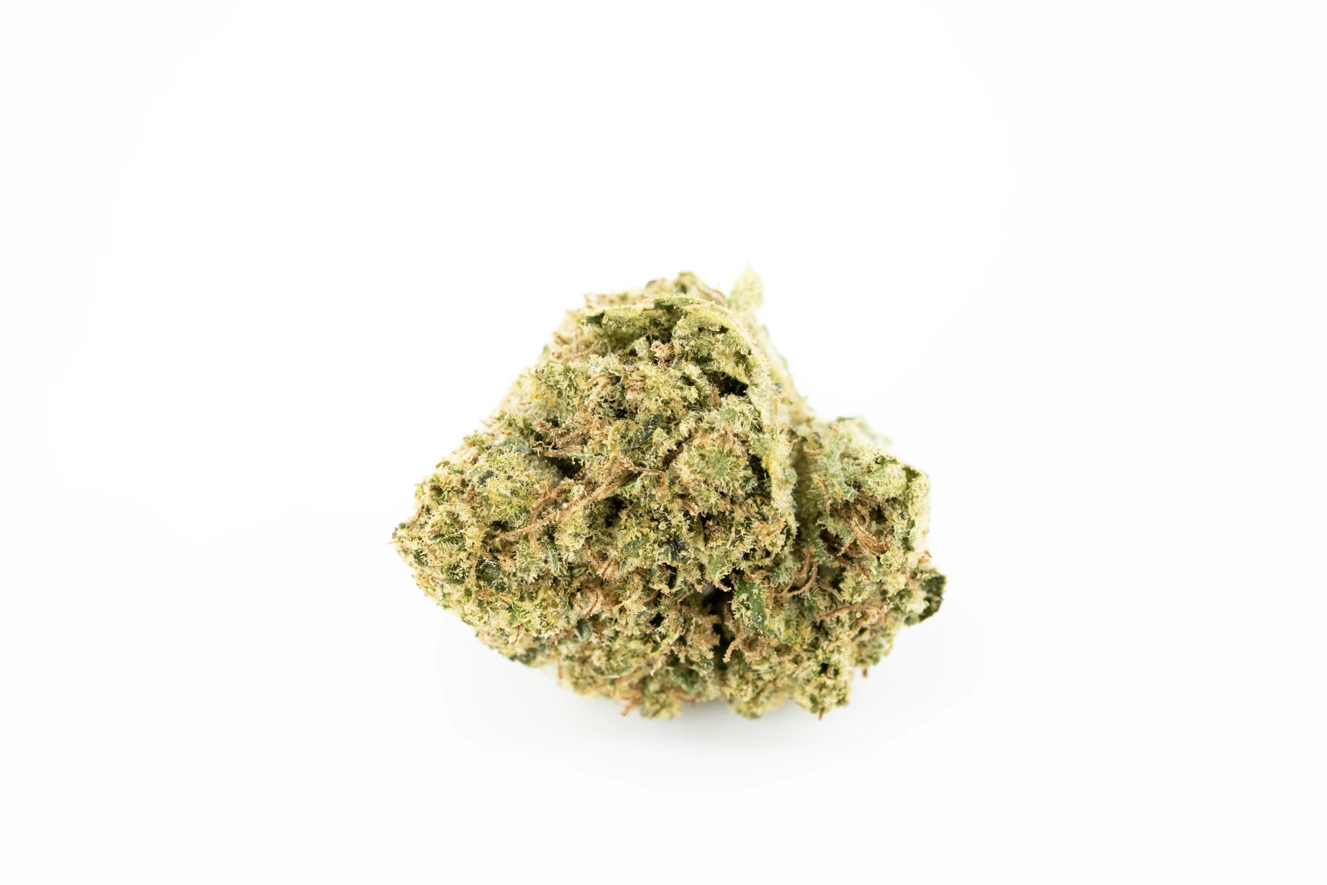 casta-24-1-sen-cannabisblueten-greensby