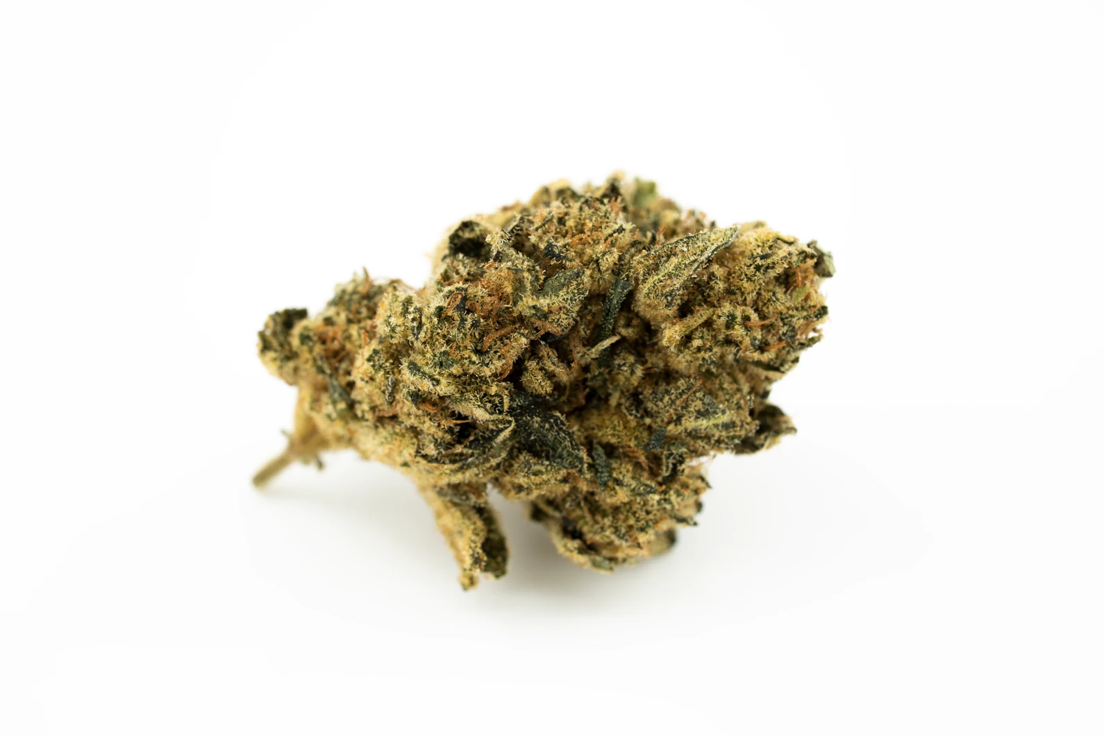 casta-25-1-gg-cannabis-apotheke