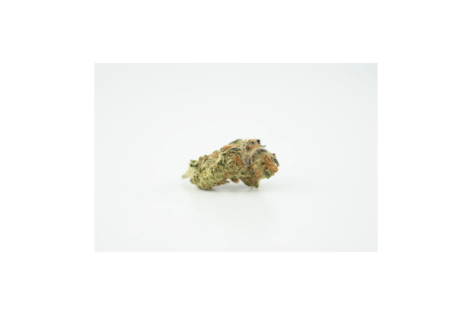 Produkte - AVAAY 22/1 BCP