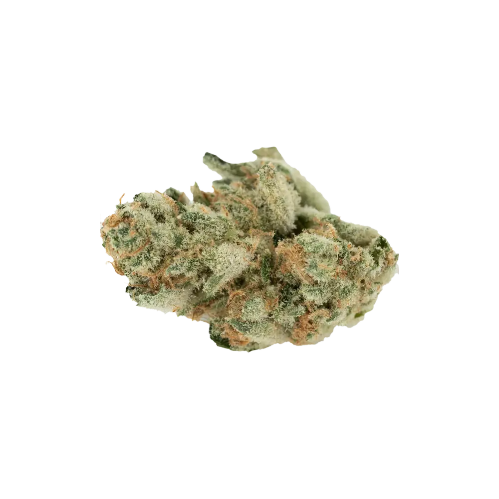 Produkte - 420 Compound 33/1 CA BER