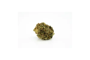 Produkte - Canopy LSK 16