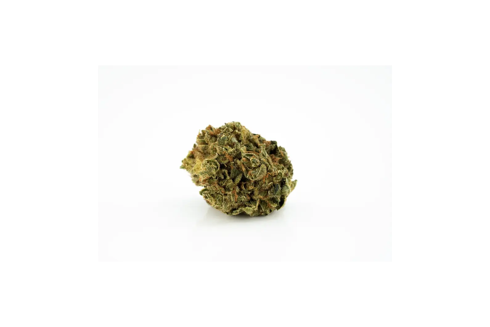 Produkte - Remexian 18/1 JPM HWD
